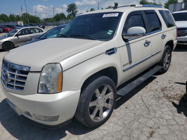 cadillac escalade p 2010 1gyukcef4ar161291