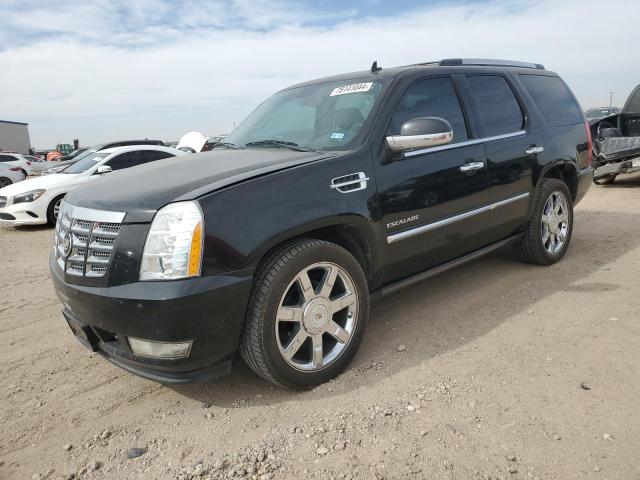 cadillac escalade p 2010 1gyukcef5ar273257