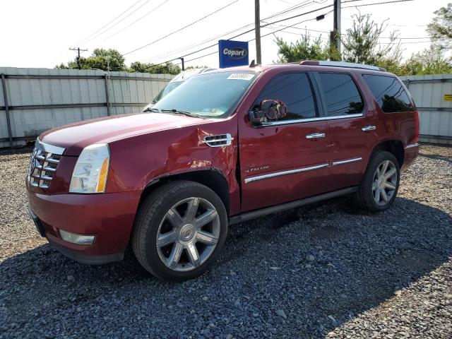 cadillac escalade p 2010 1gyukcef7ar235125