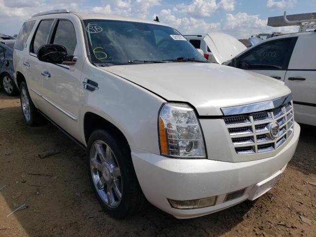 cadillac escalade p 2010 1gyukcef8ar132294