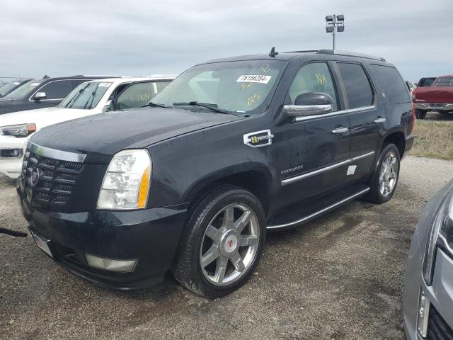 cadillac escalade h 2010 1gyukeej2ar220273