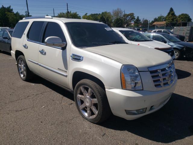 cadillac escalade h 2010 1gyukeej4ar223529