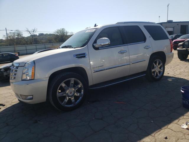 cadillac escalade h 2010 1gyukeej7ar197833