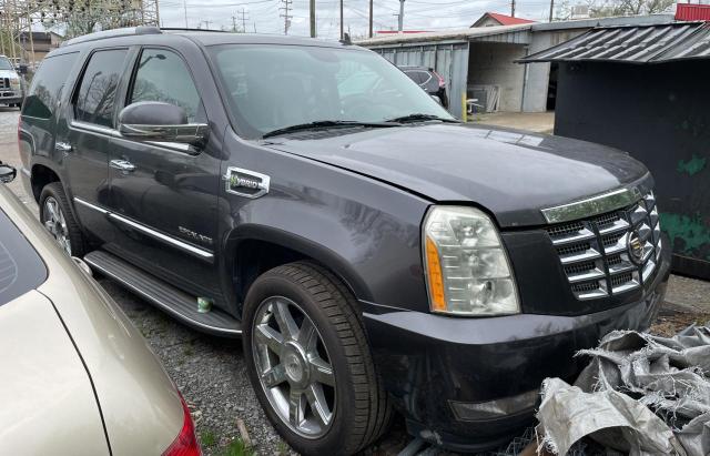 cadillac escalade h 2010 1gyukeej7ar245153