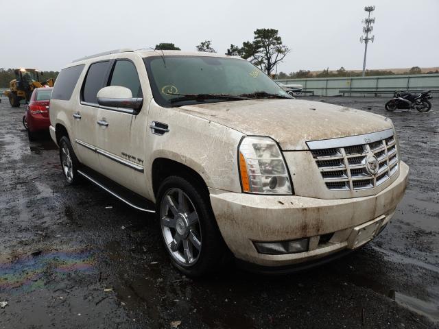 cadillac escalade e 2010 1gyukhef0ar282879