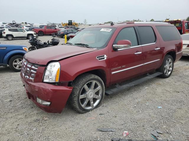 cadillac escalade e 2010 1gyukjef3ar211652