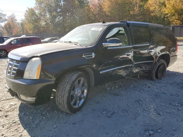 cadillac escalade e 2010 1gyukjefxar249475