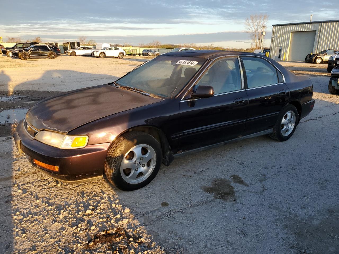 honda accord 1997 1hgcd5608va055417