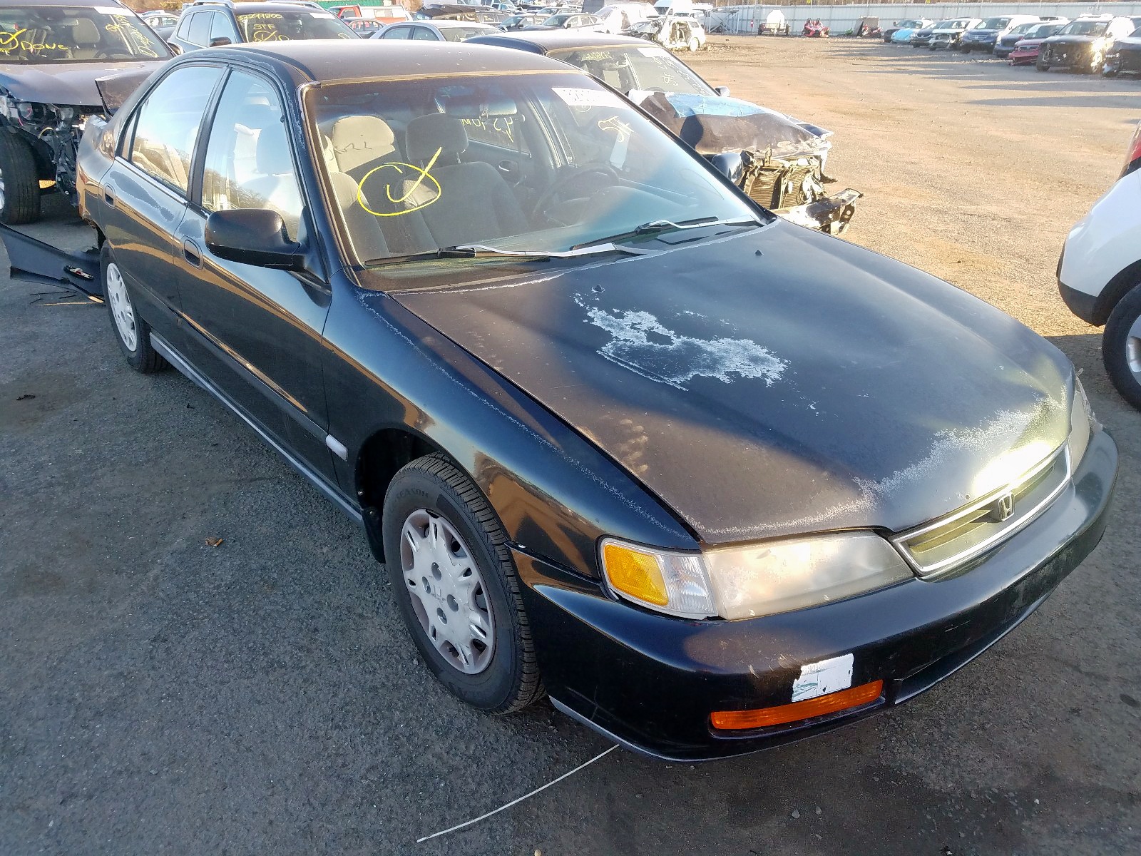 honda accord dx 1996 1hgcd5620ta186467