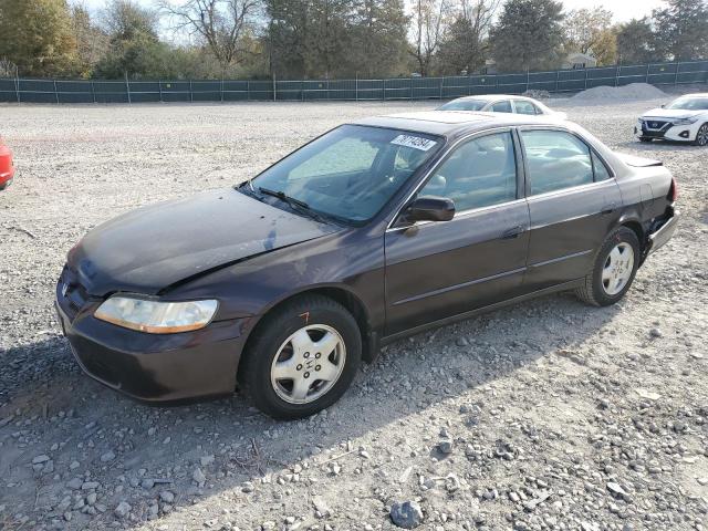 honda accord ex 1998 1hgcg1657wa057429