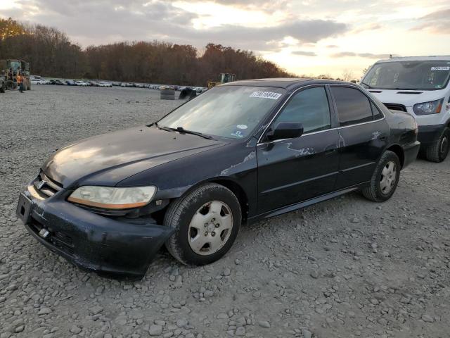 honda accord ex 2002 1hgcg165x2a031756