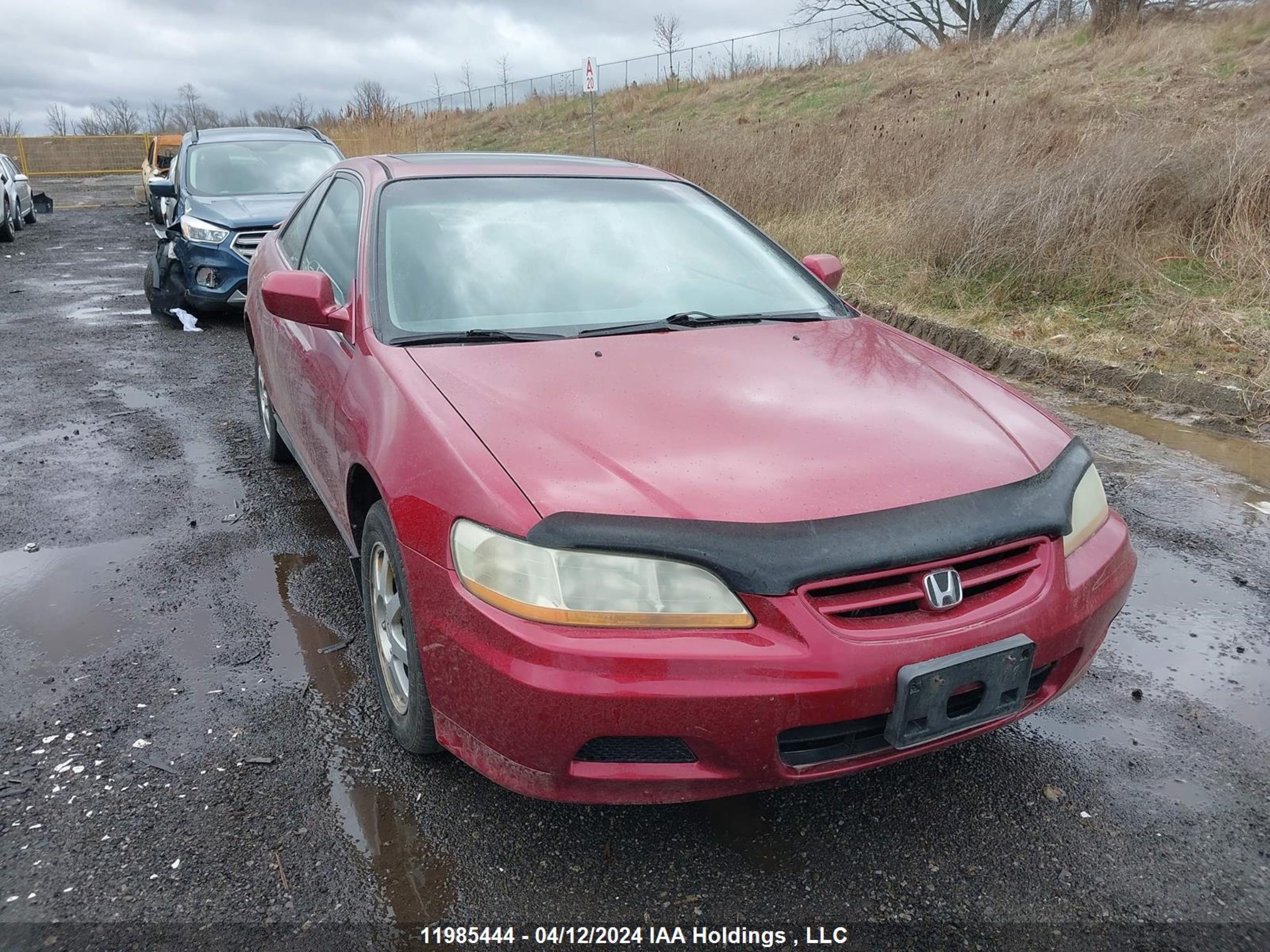 honda accord 2002 1hgcg32022a800823