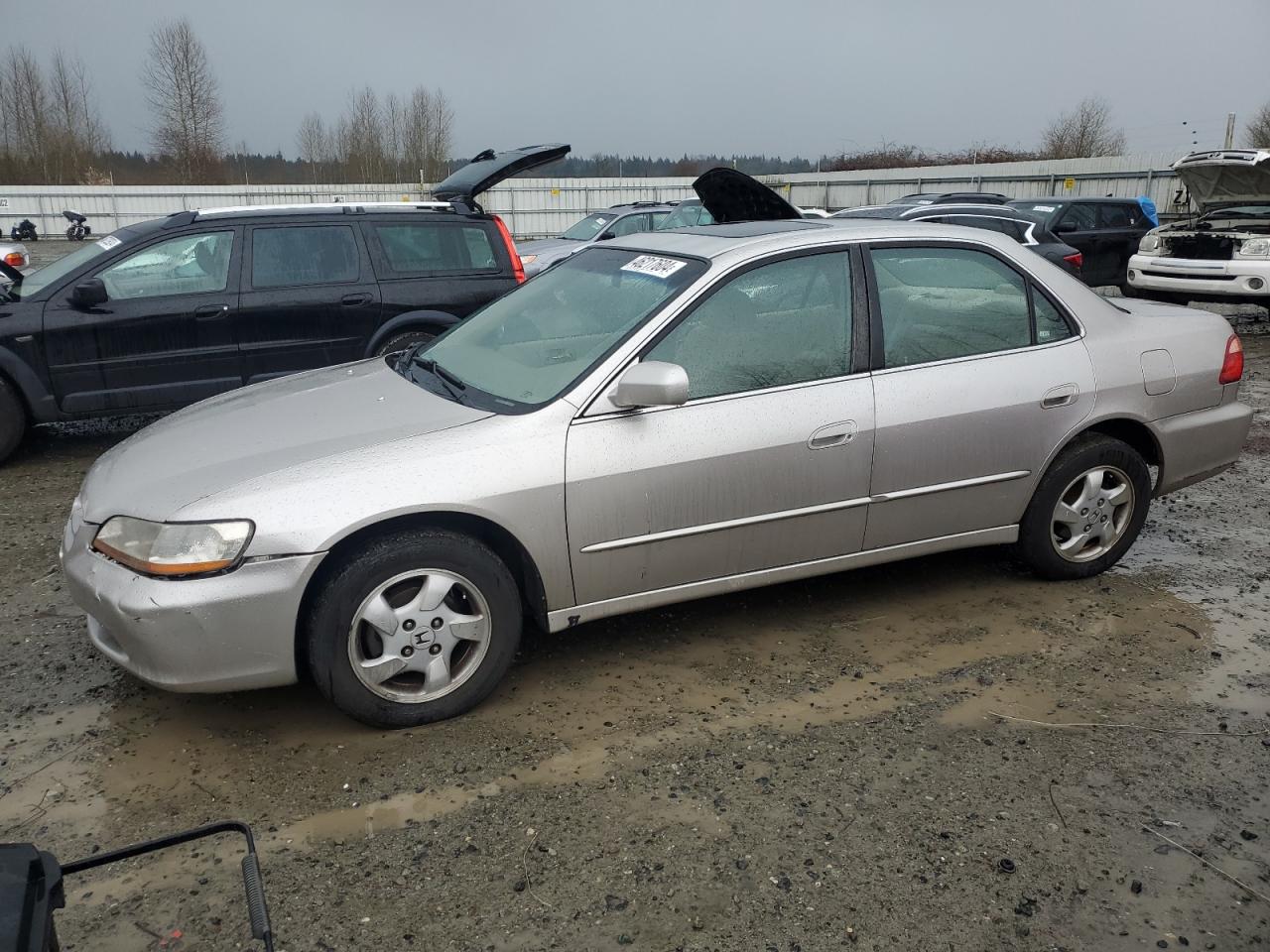 honda accord 1998 1hgcg5650wa213849