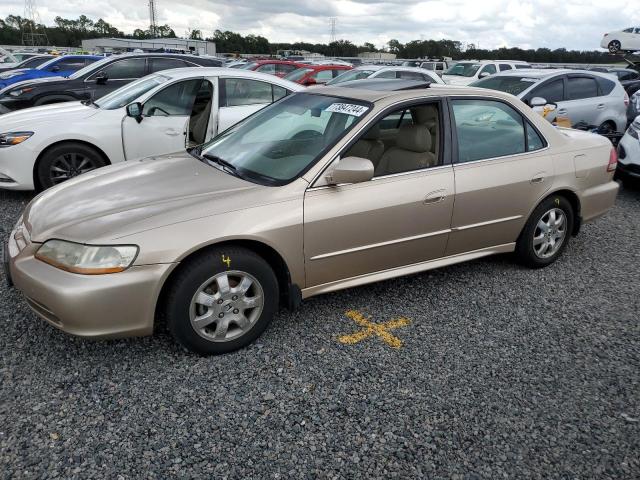 honda accord ex 2002 1hgcg56662a095261