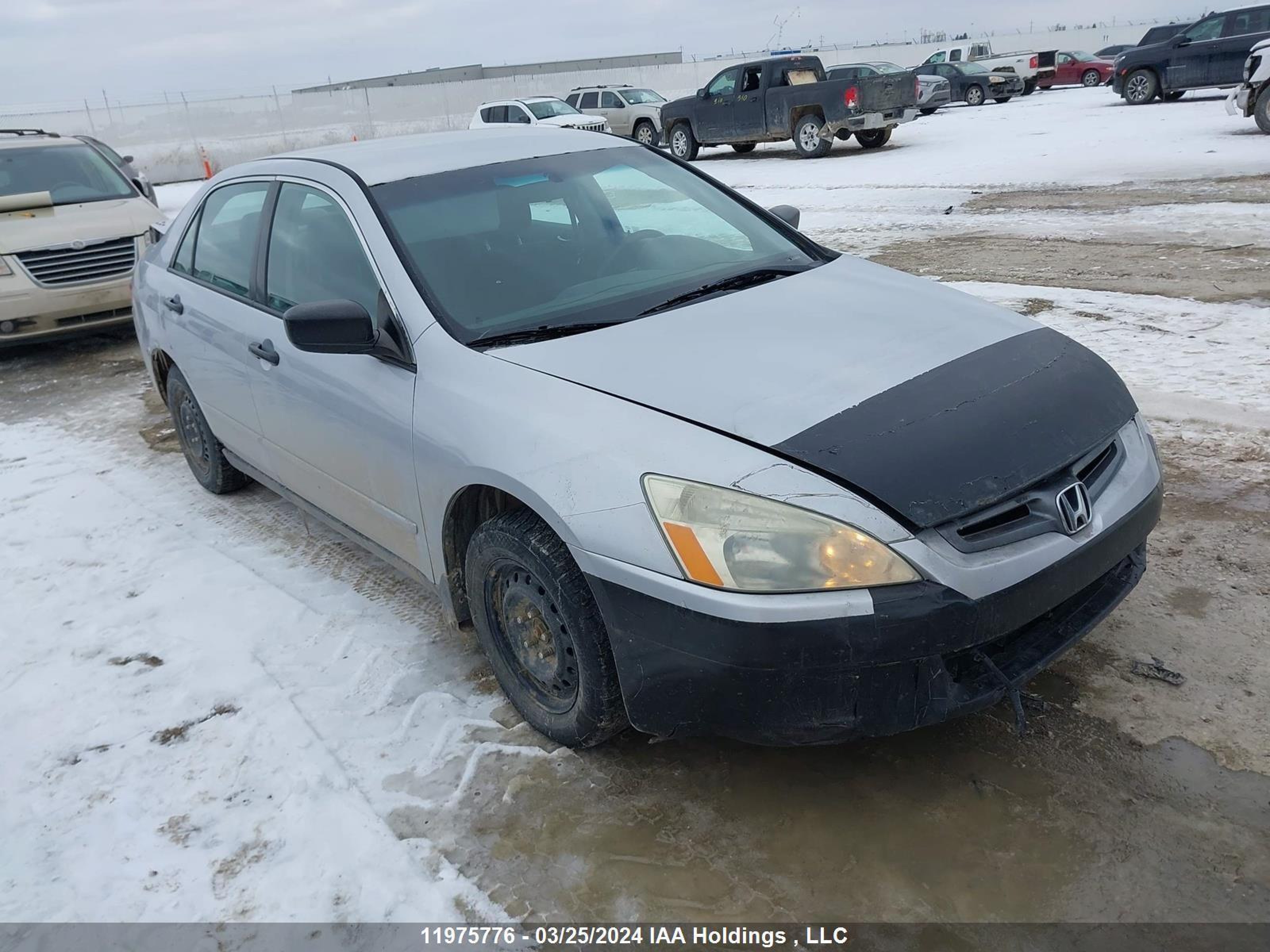 honda accord 2004 1hgcm55124a813891