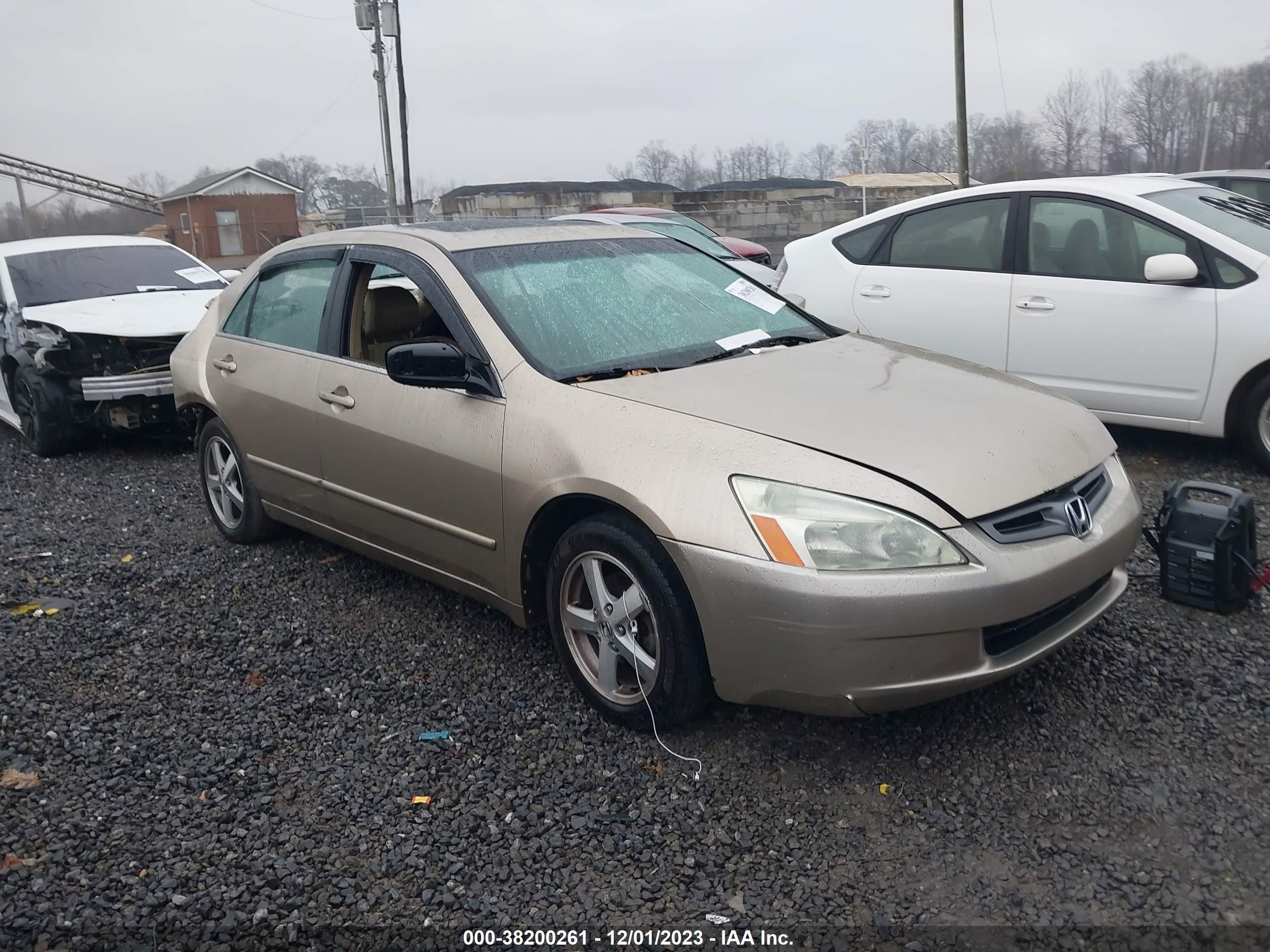 honda accord 2003 1hgcm55603a116648