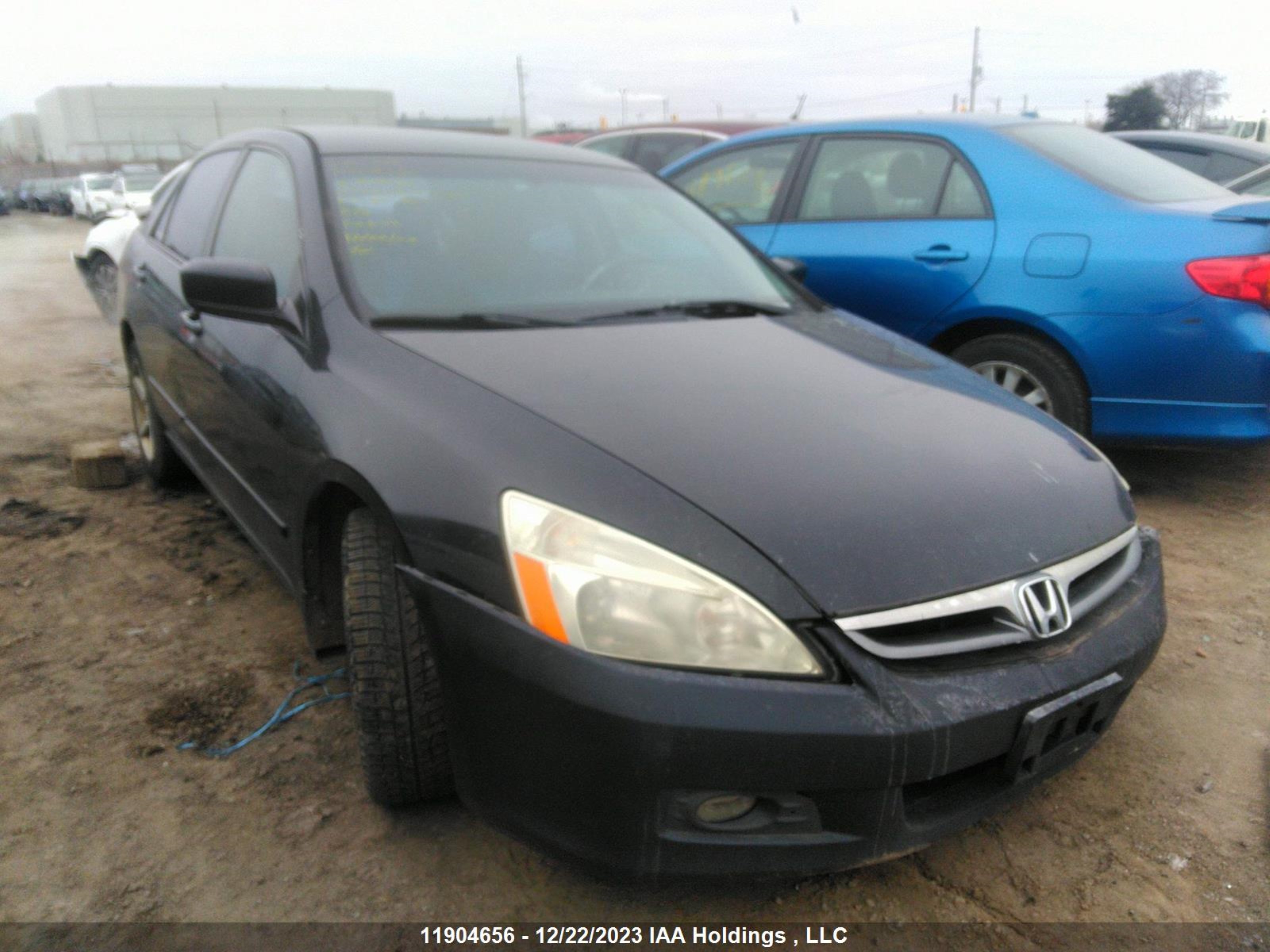 honda accord 2007 1hgcm56117a803968