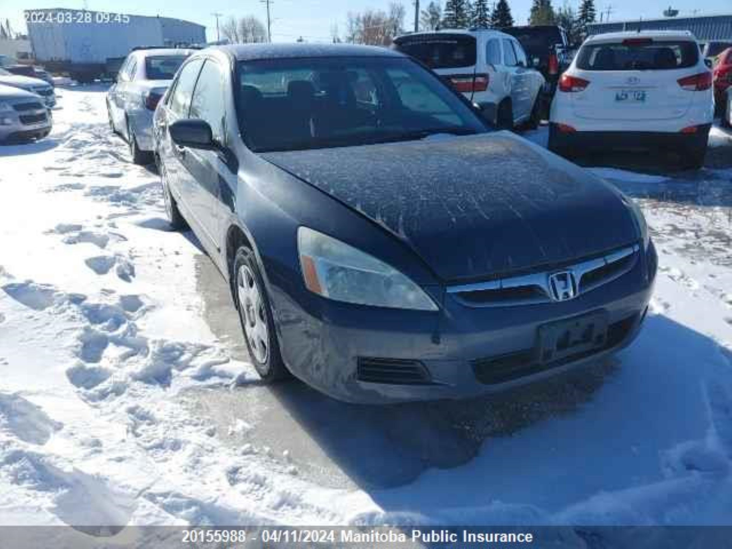 honda accord 2007 1hgcm56167a800516