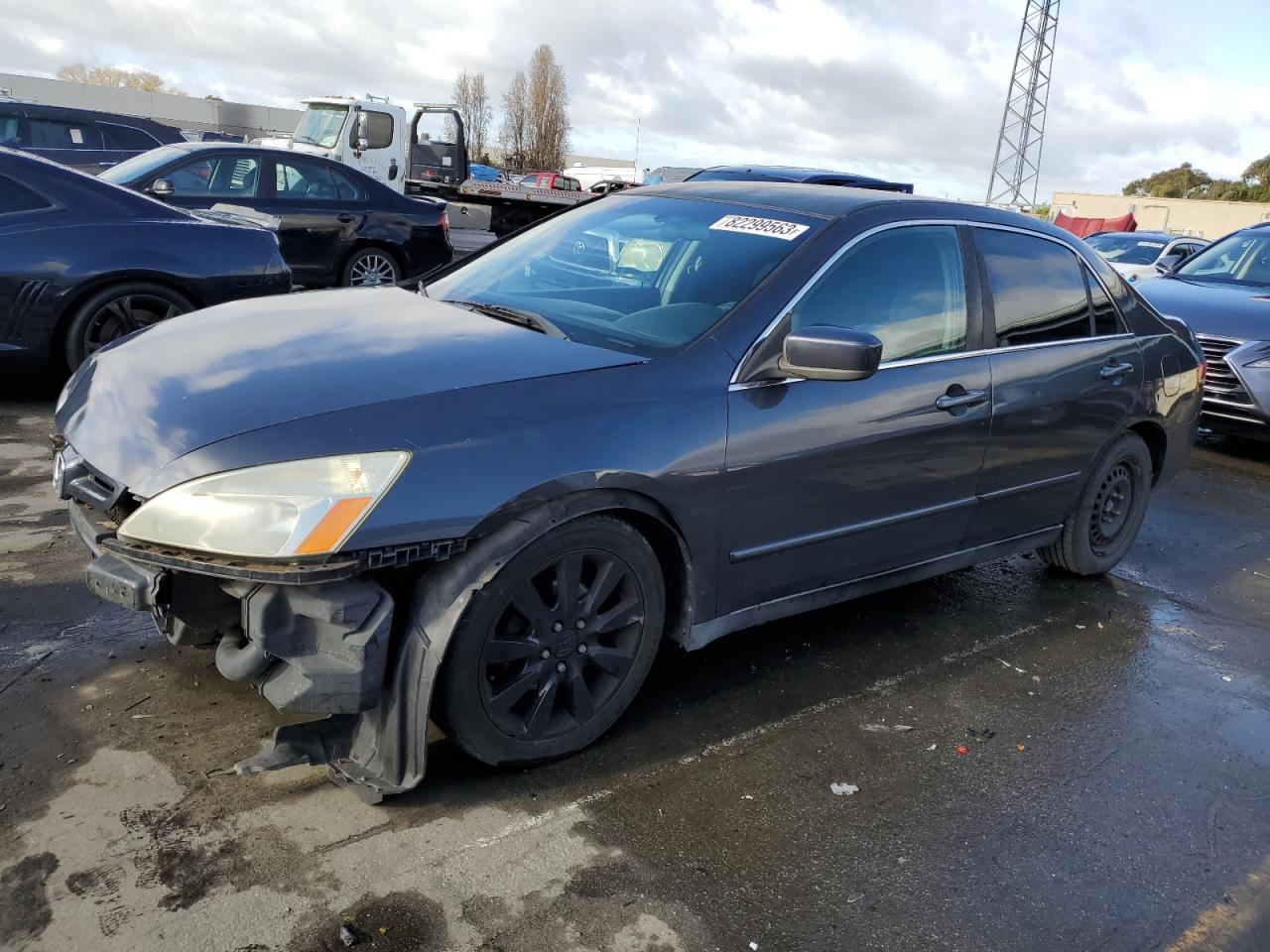 honda accord 2004 1hgcm56314a174404