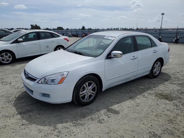 honda accord se 2006 1hgcm56366a065259