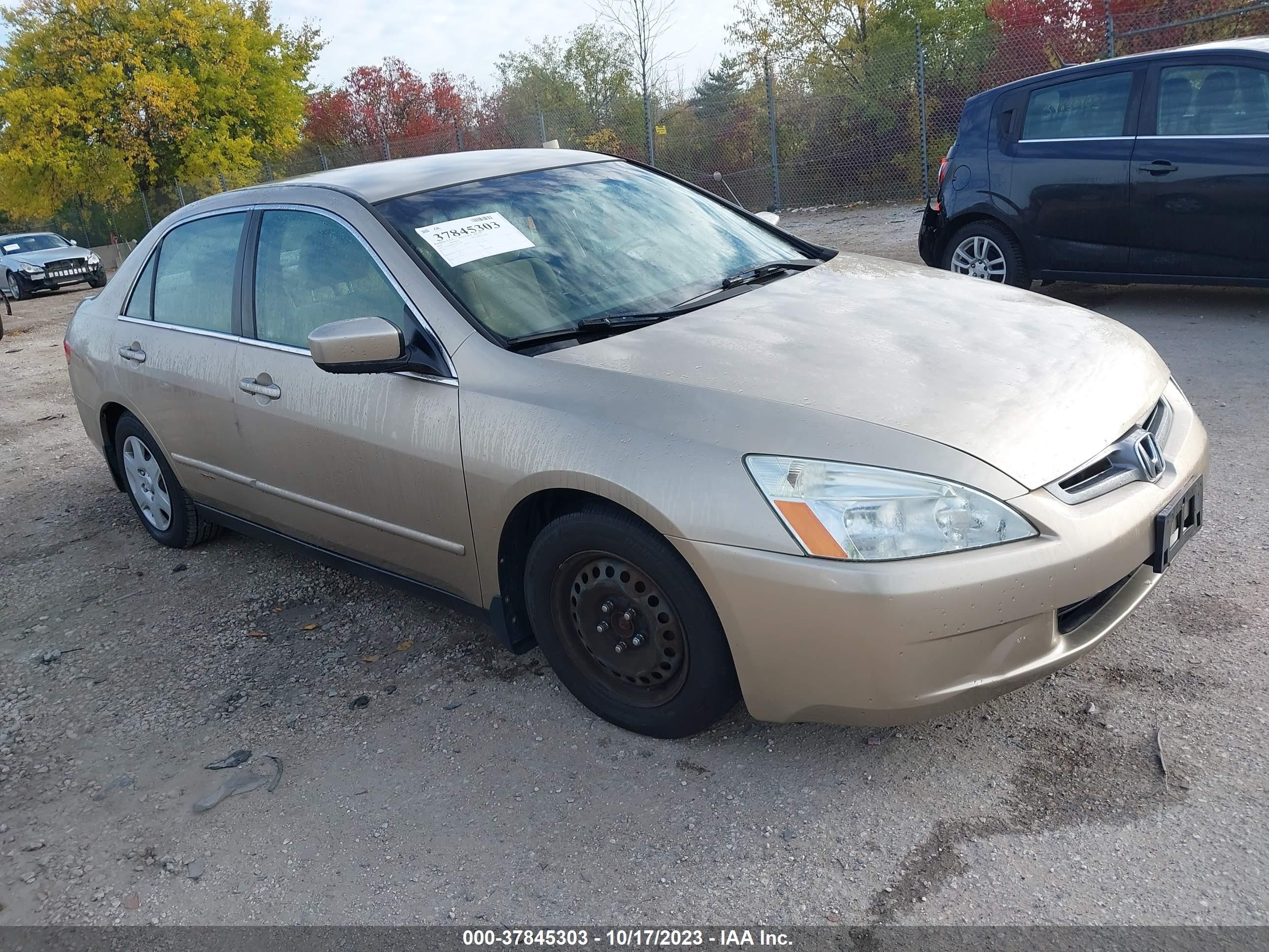 honda accord 2005 1hgcm56445a053294