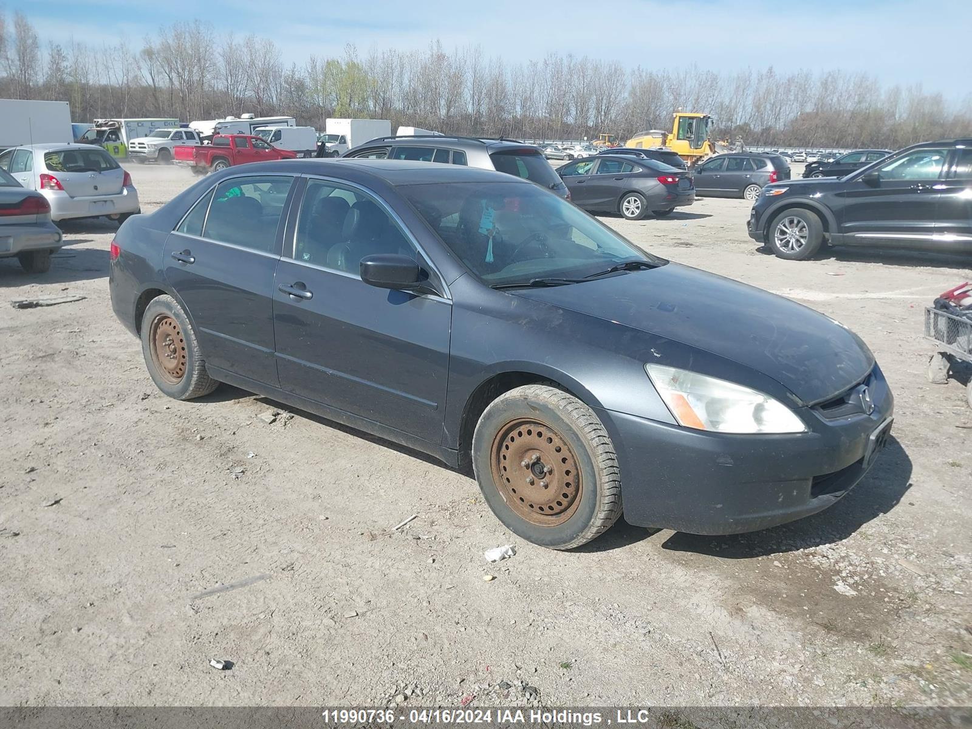 honda accord 2005 1hgcm56645a803181