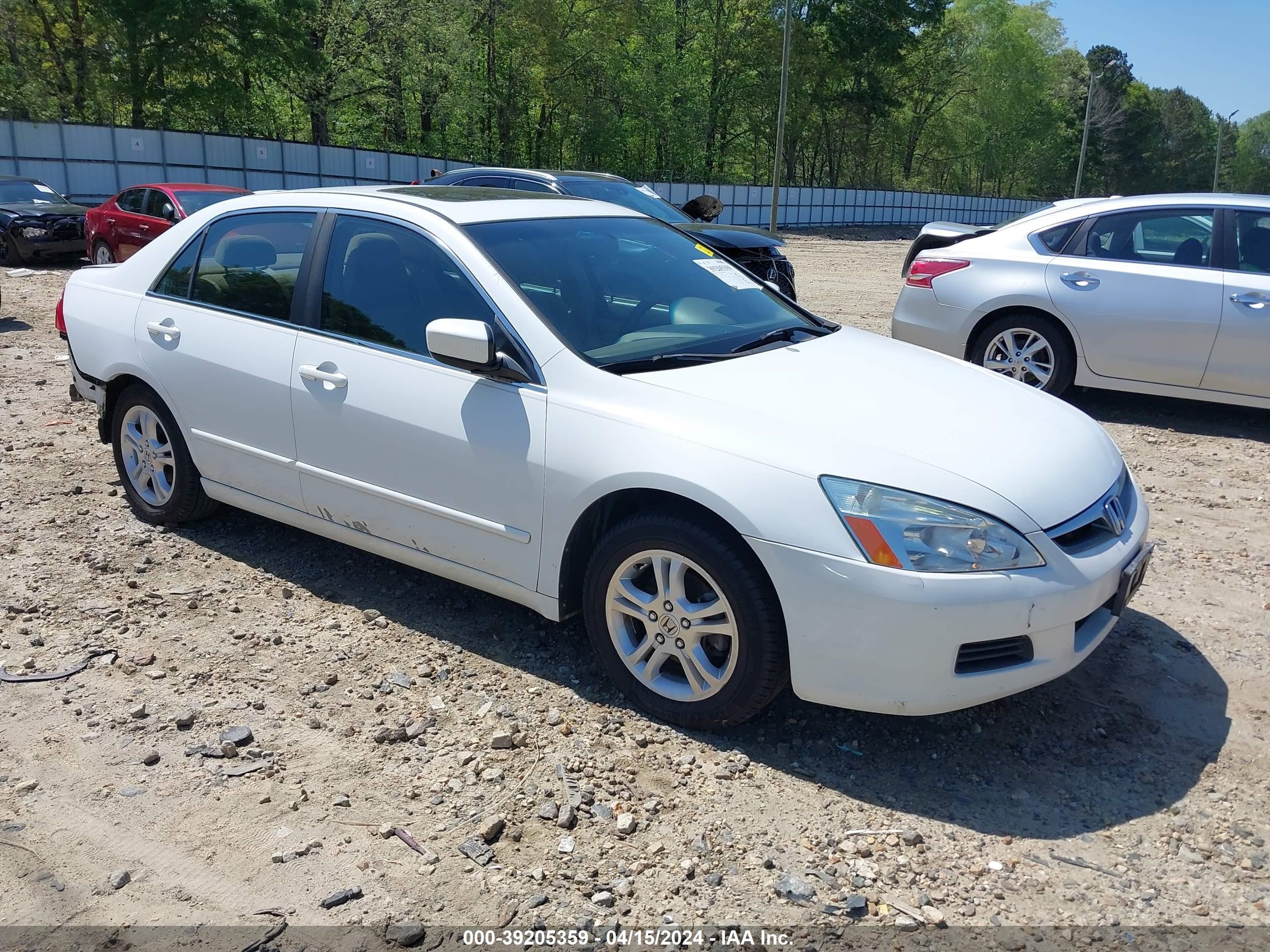 honda accord 2006 1hgcm56736a087139