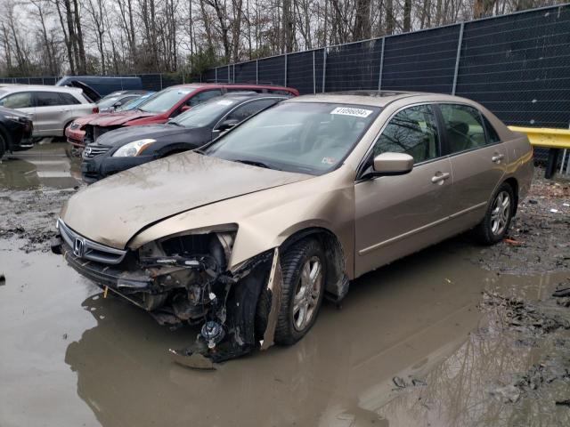 honda accord 2006 1hgcm56836a109519