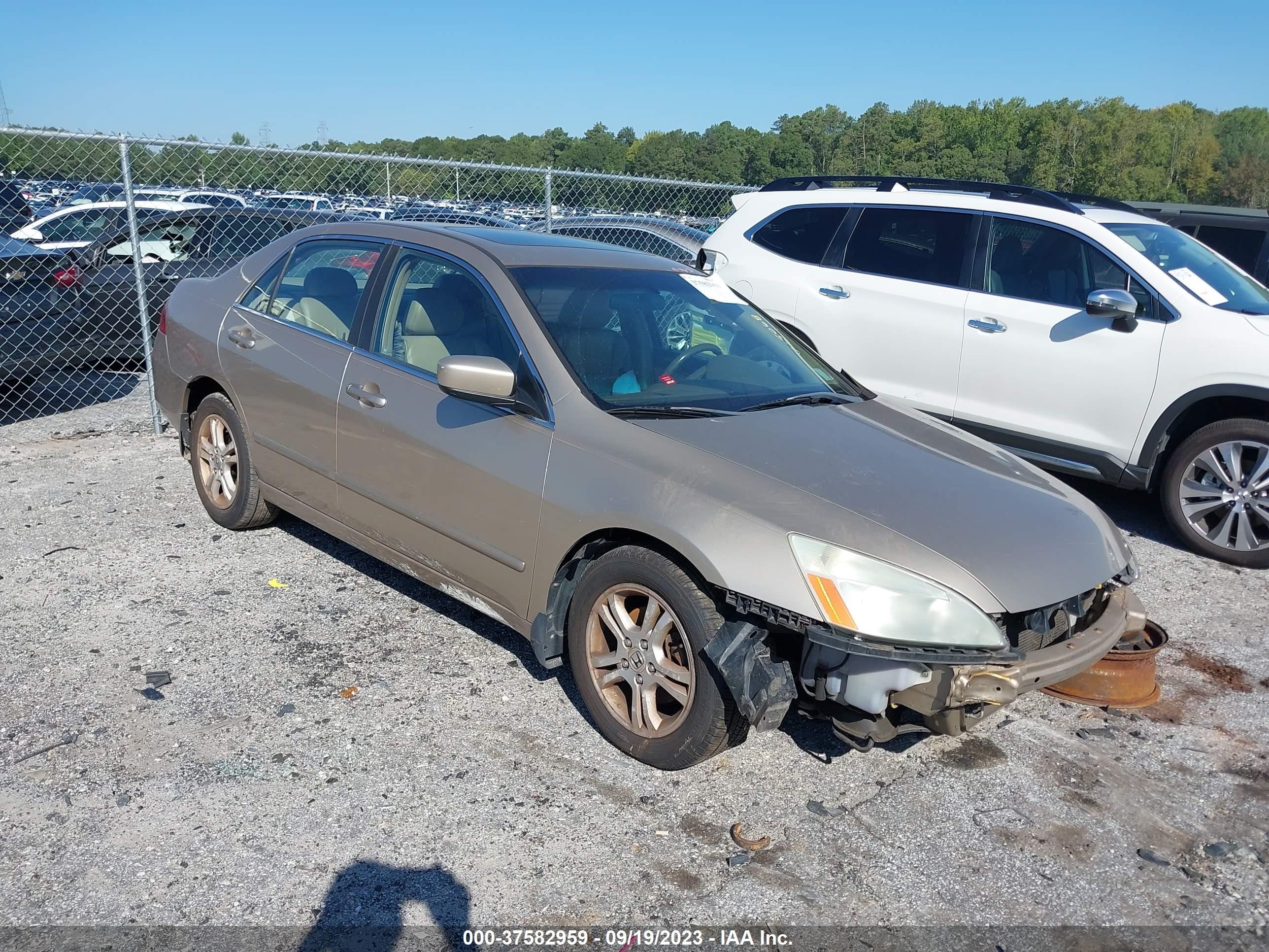 honda accord 2006 1hgcm56846a045068