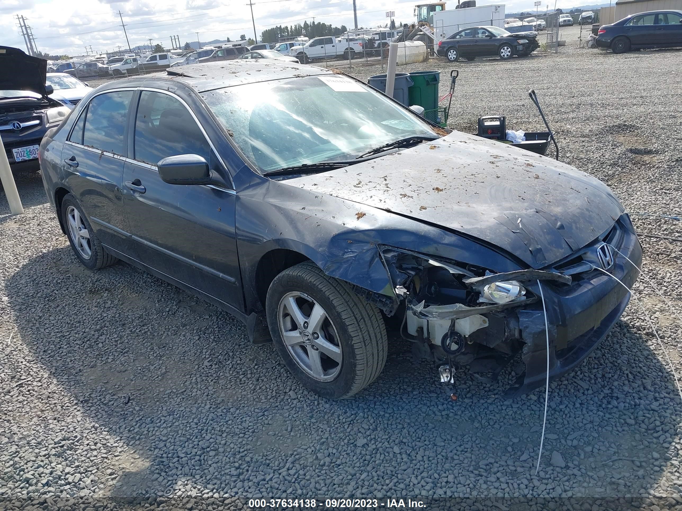 honda accord 2004 1hgcm56864a131964