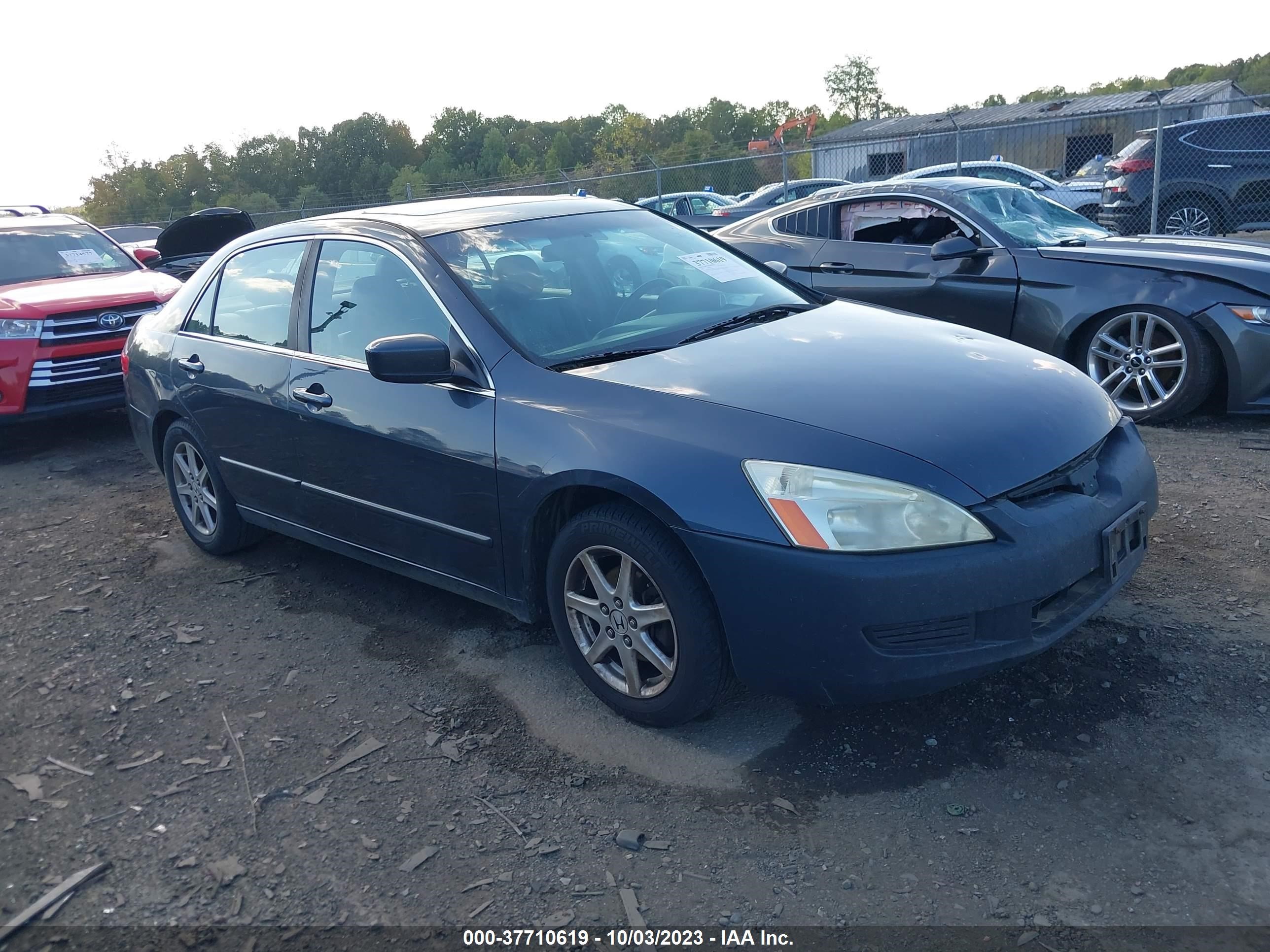 honda accord 2005 1hgcm56875a150055