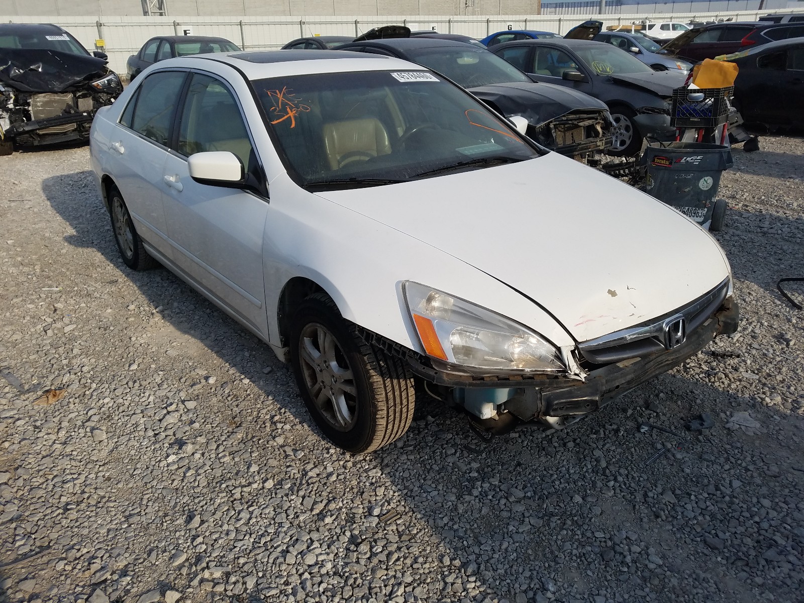 honda accord ex 2006 1hgcm56876a048370