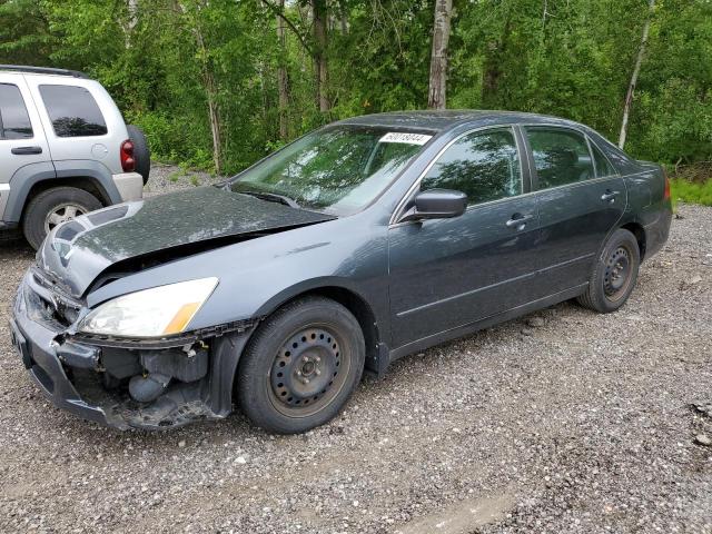 honda accord 2007 1hgcm66317a802858