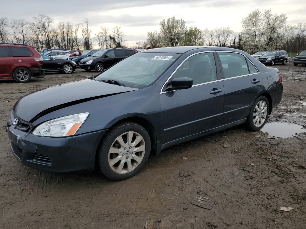 honda accord 2007 1hgcm66437a077966