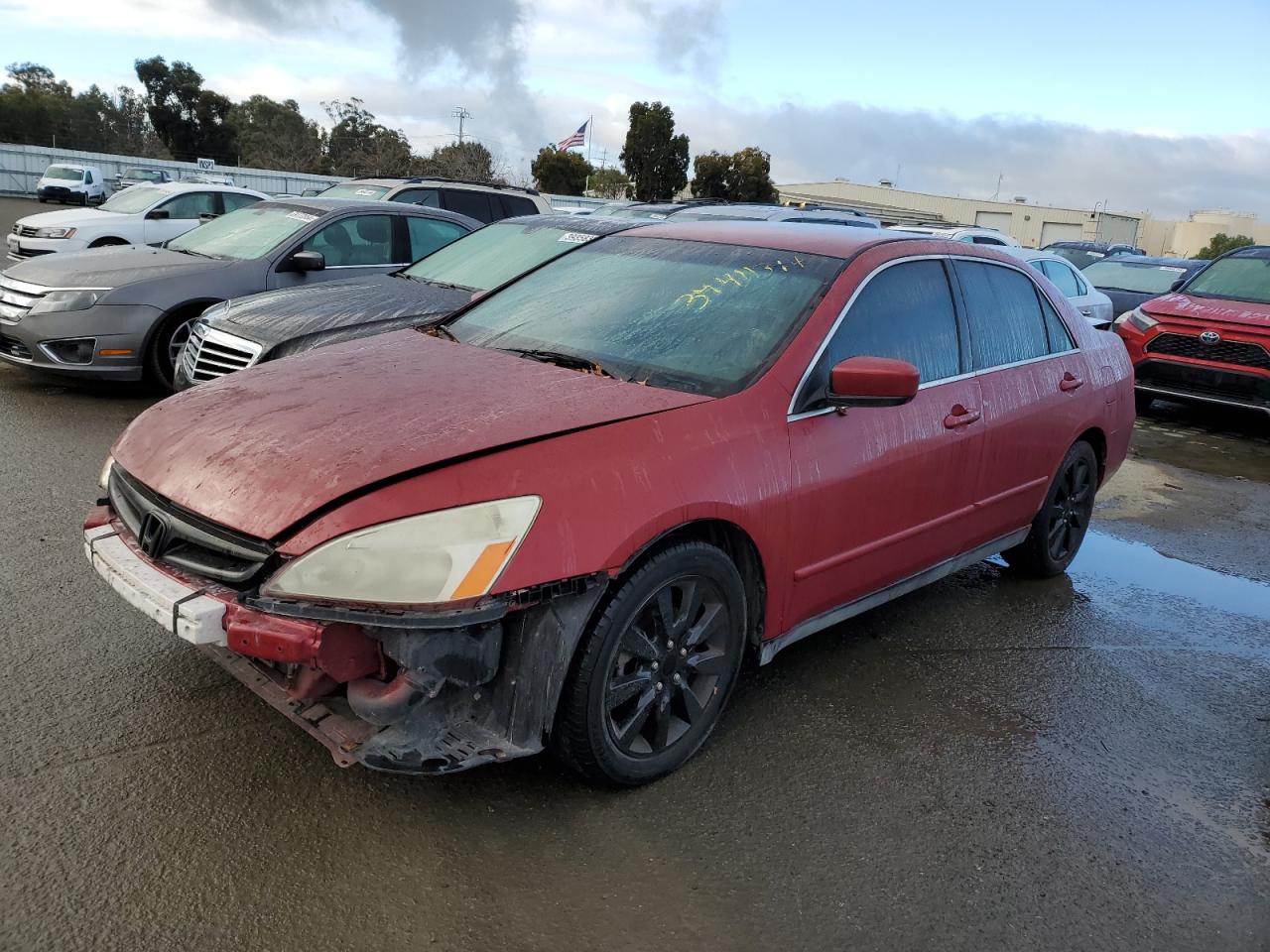 honda accord 2007 1hgcm664x7a043832