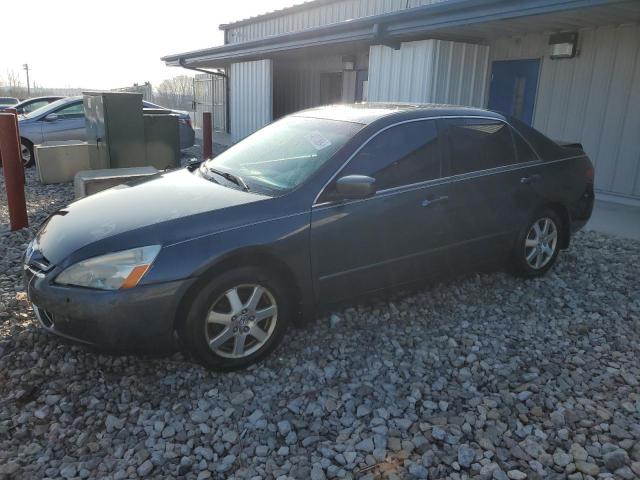 honda accord 2005 1hgcm66505a066090