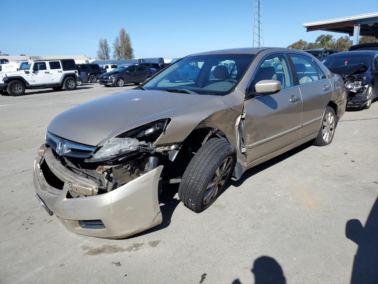 honda accord 2006 1hgcm66506a035522