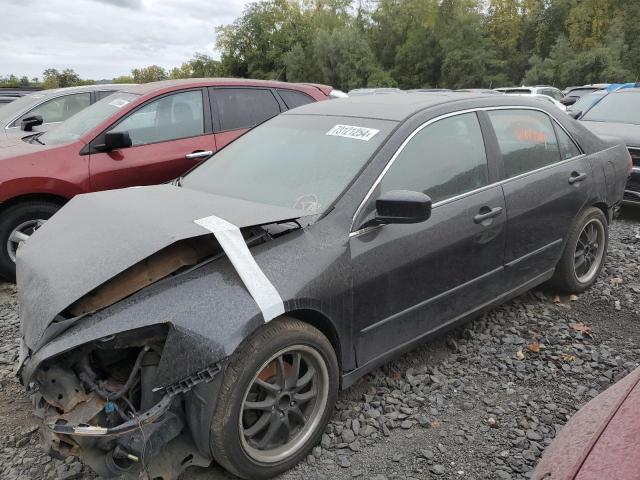 honda accord ex 2007 1hgcm66507a010556