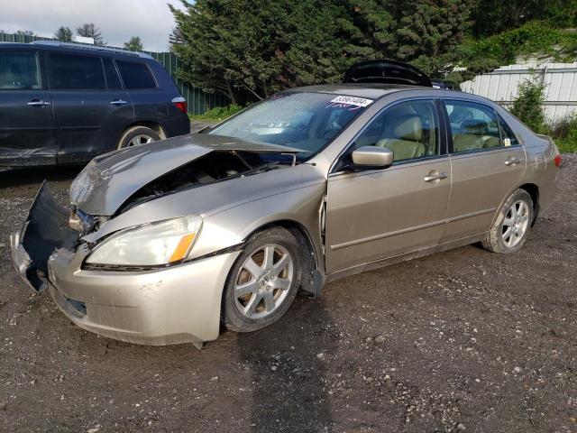 honda accord 2005 1hgcm66515a027203