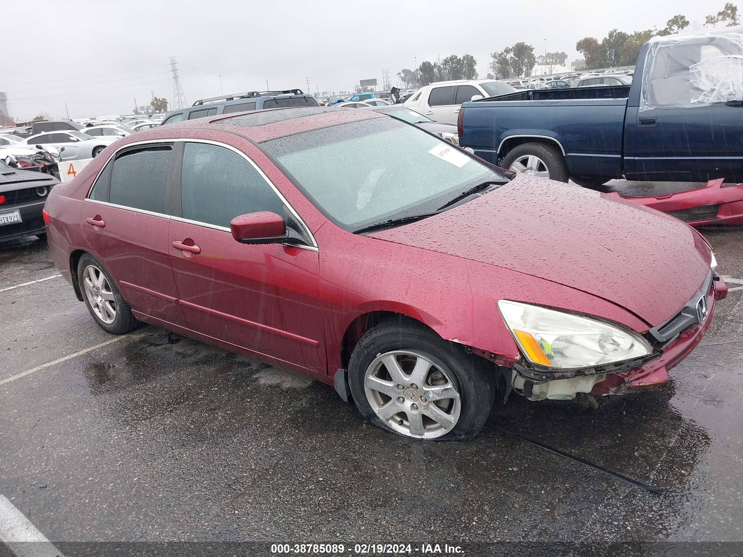 honda accord 2005 1hgcm66515a039237