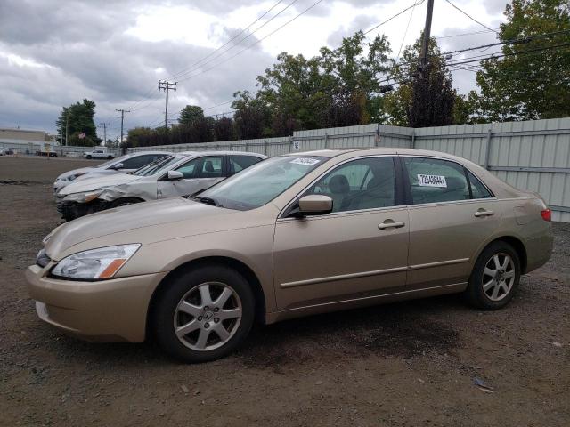 honda accord ex 2005 1hgcm66515a075106