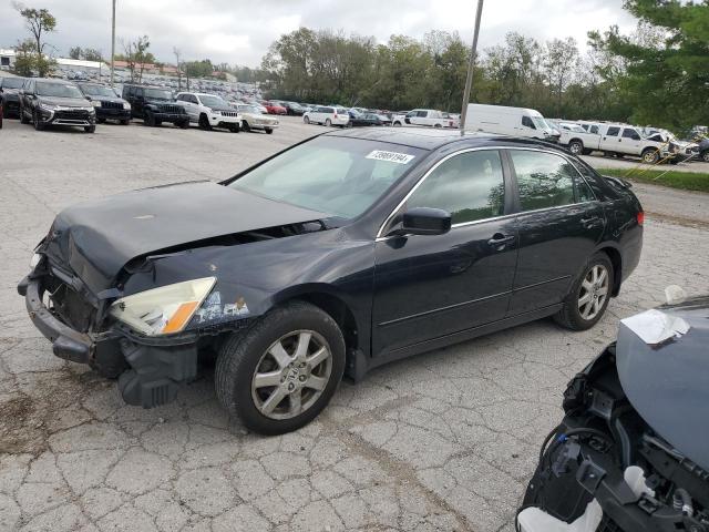 honda accord ex 2005 1hgcm66515a079589