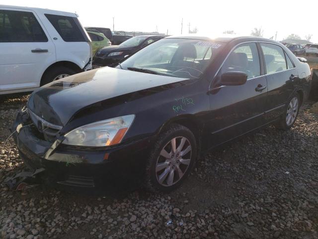 honda accord 2006 1hgcm66516a063717