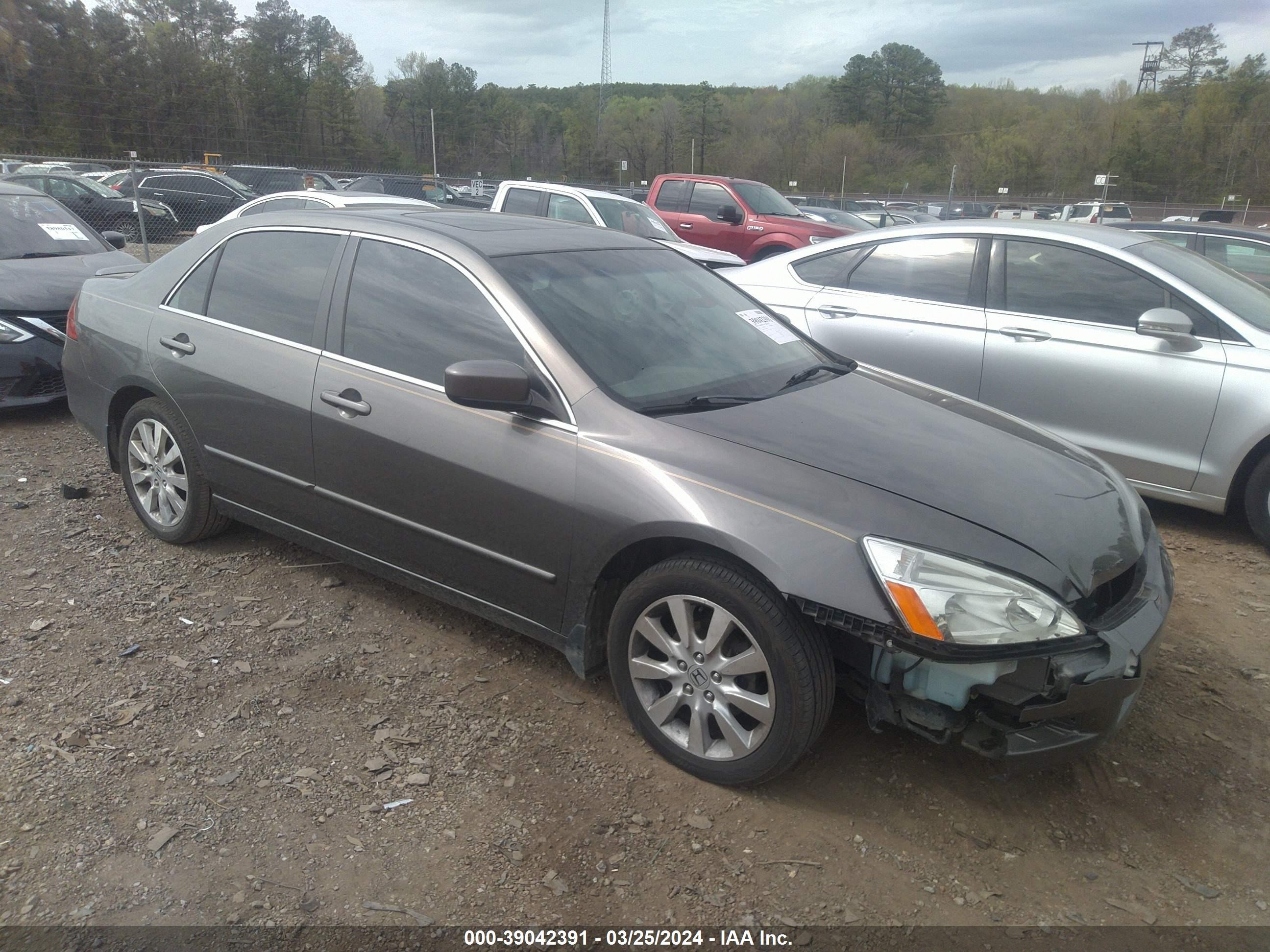 honda accord 2007 1hgcm66517a046840