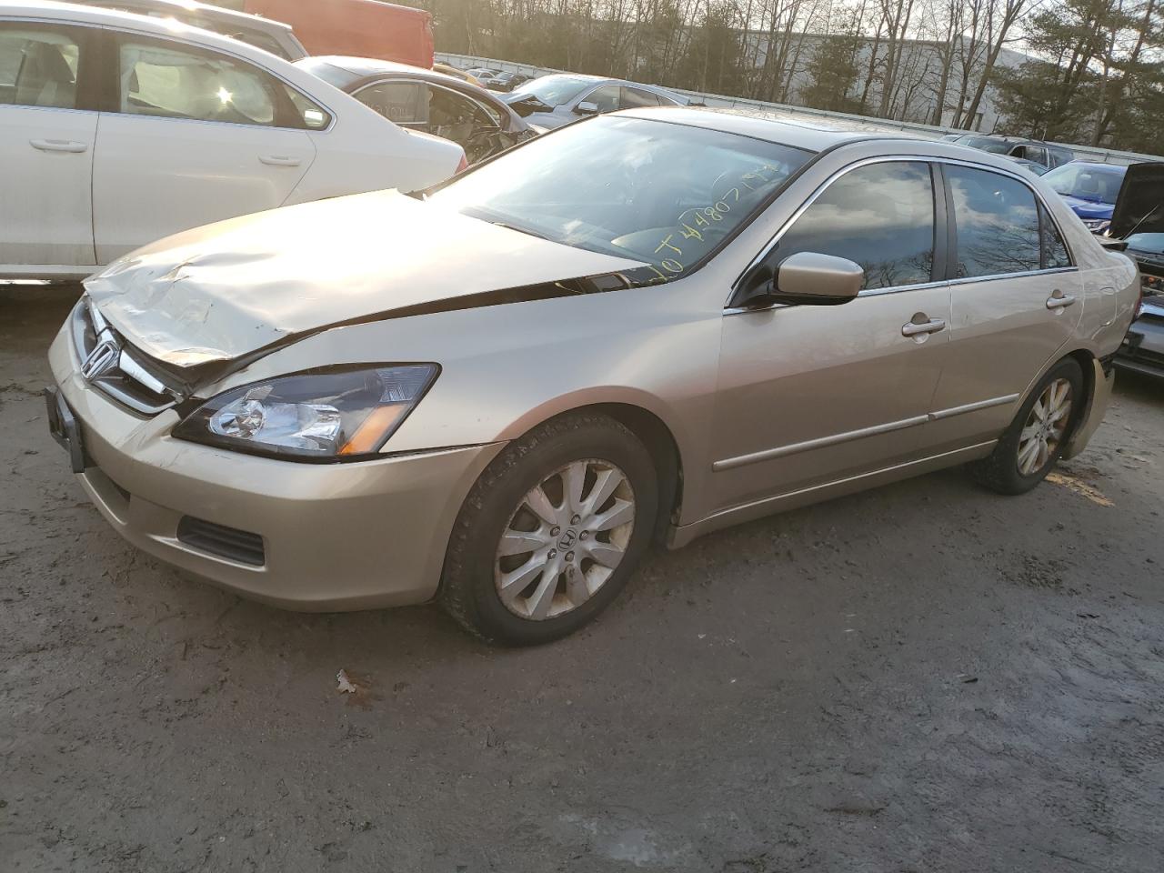 honda accord 2007 1hgcm66517a050872