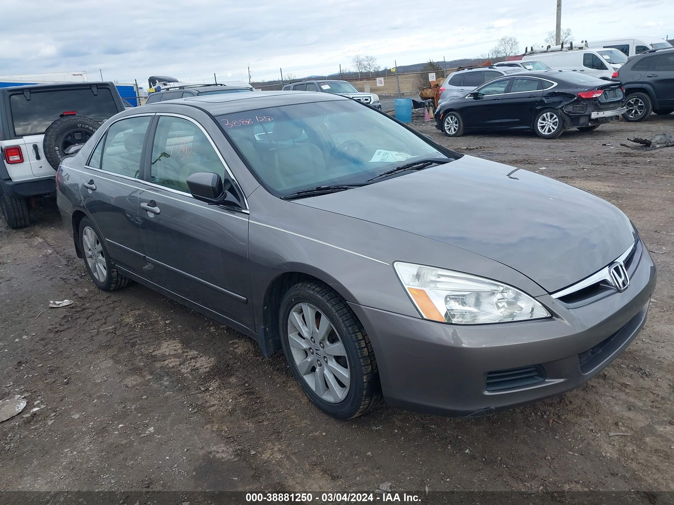 honda accord 2007 1hgcm66517a084133