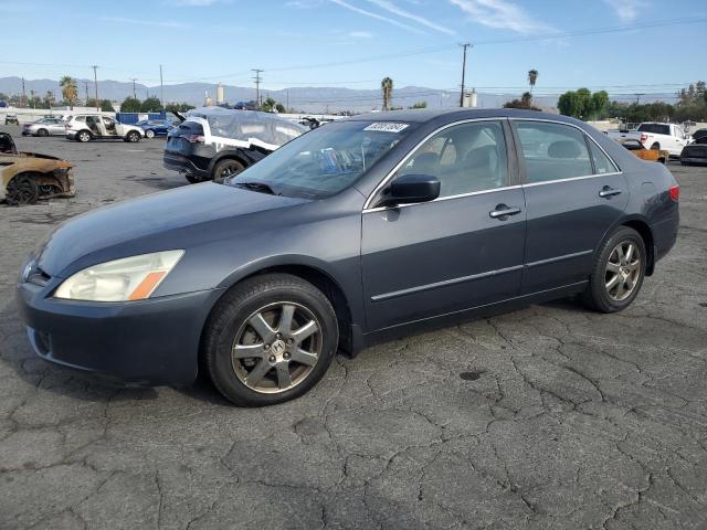 honda accord ex 2005 1hgcm66535a019488