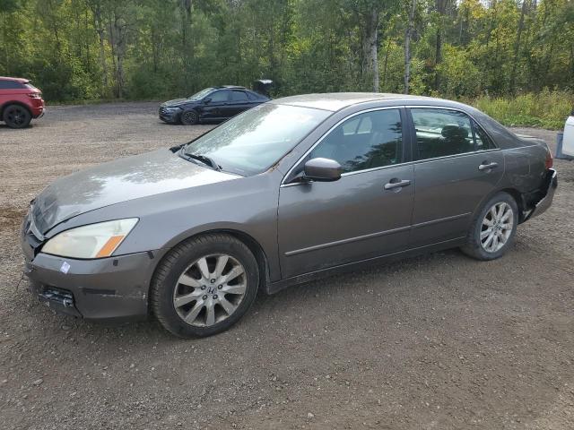 honda accord ex 2007 1hgcm66537a802815