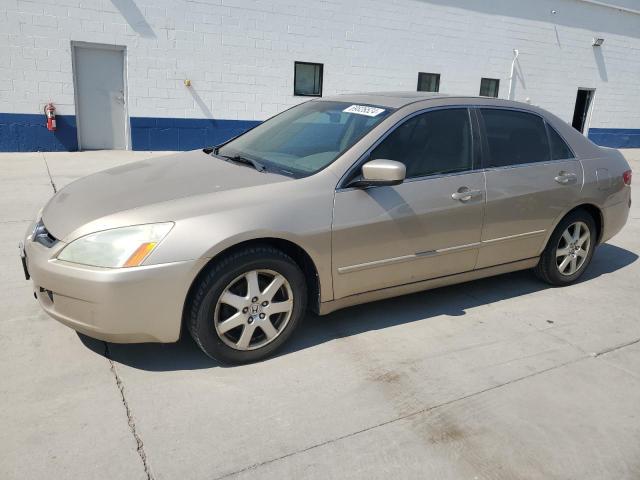 honda accord ex 2005 1hgcm66545a031892