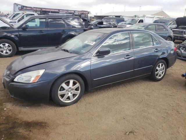 honda accord ex 2005 1hgcm66545a037448